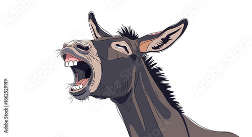 Close up of a donkey head braying with mouth wide open and teeth exposed