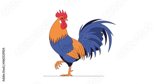 A colorful rooster standing tall with its tail feathers displayed proudly on a white background