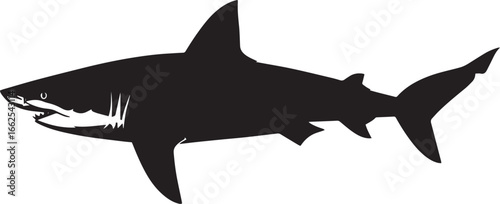A black and white shark swimming in the ocean.