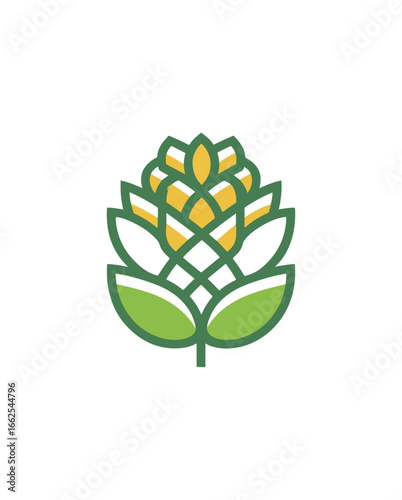 Hop flower illustration design