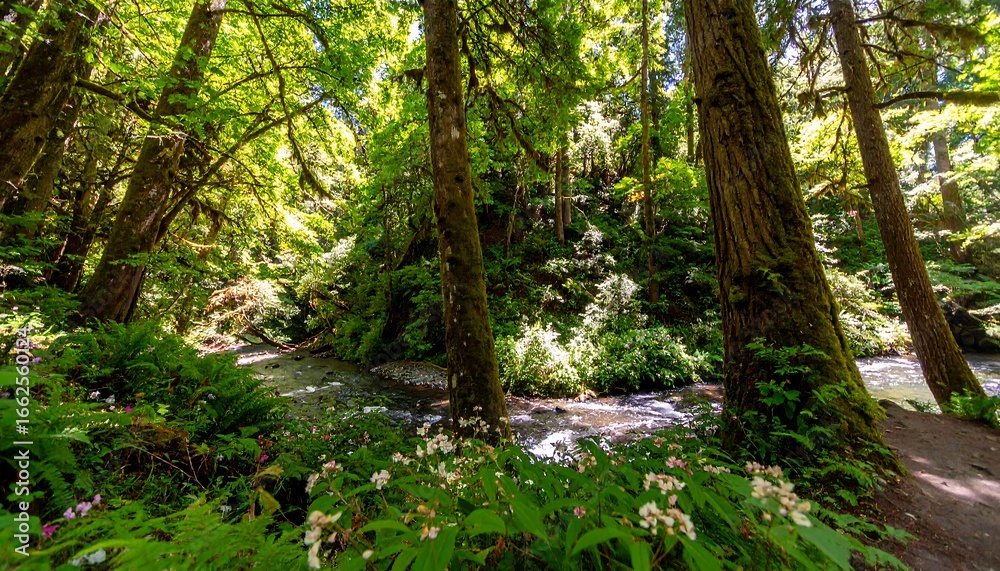 Obraz premium Lush forest stream