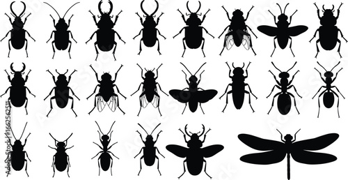 Collection of insect silhouettes including beetles, ants, flies, dragonflies, in various poses, perfect for science, nature, and biology design.
