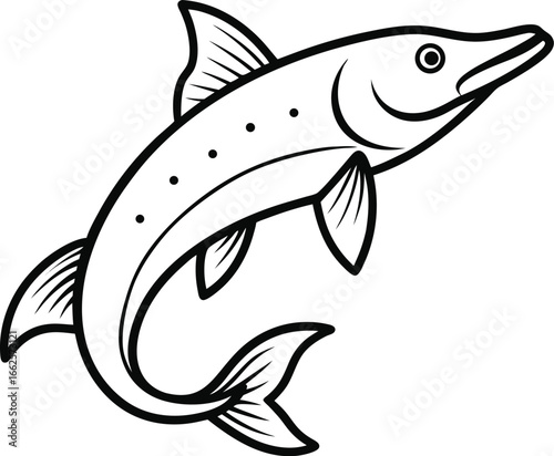 pike fish outline vector illustration on white background
