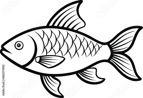 roach fish outline vector illustration on white background