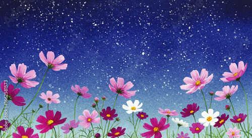 A vibrant field of pink and white cosmos flowers blooming under a magical, starry night sky. Dreamy watercolor style illustration.