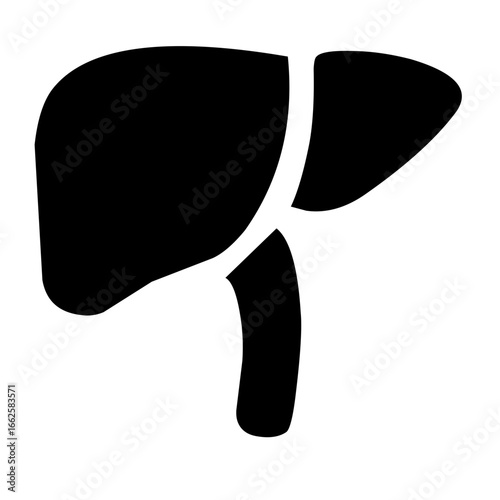 Human organ icon vector