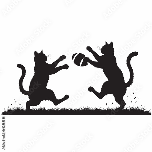 two cats playing football