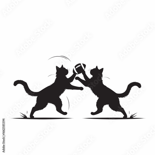 two cats playing football