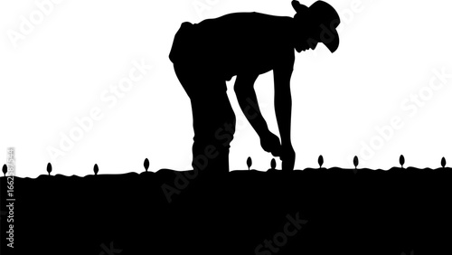 Silhouette of farmer planting seedlings in a field under a bright sky on a sunny day in the countryside