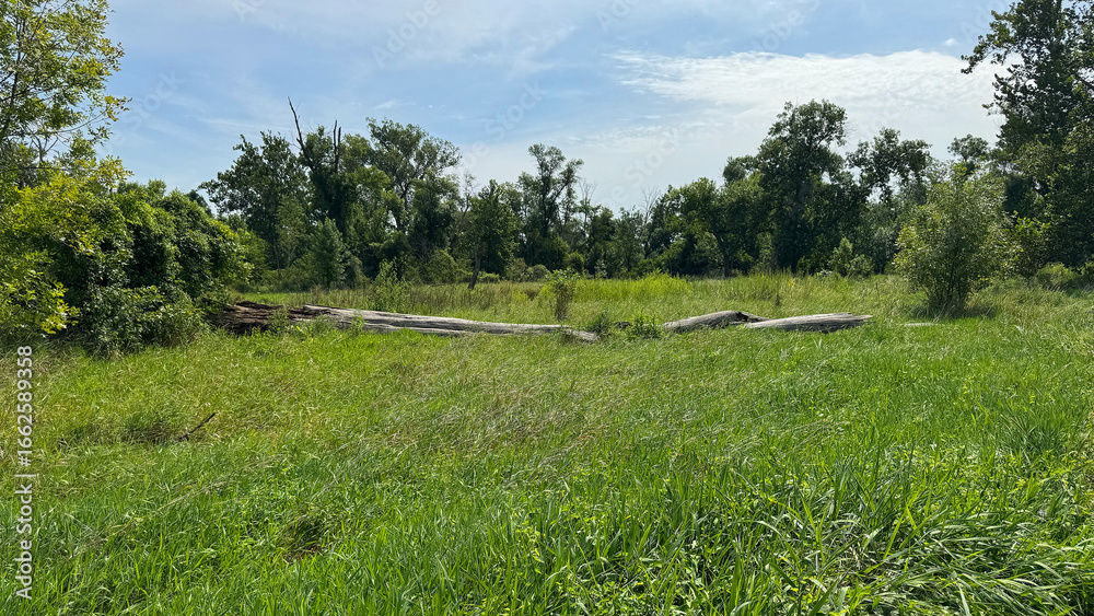 Obraz premium river floodplain in Nebraska
