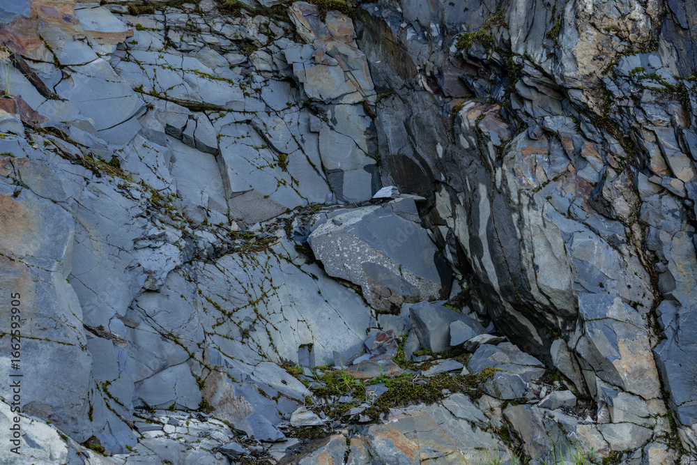 Obraz premium Slate and Graywacke. Slate is a fine-grained, foliated, homogeneous, metamorphic rock. Shotgun Cove Trail, Whittier is a city at the head of the Passage Canal in the Chugach Census Area in Alaska.