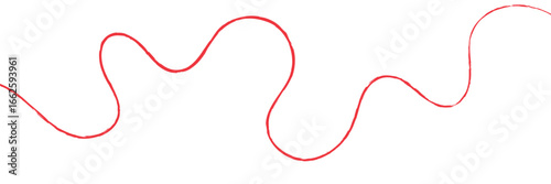 Red thread isolates on a white background. red thread looped in a circle form, symbolizing vector. line of red yarn, long red thread .Vector illustration . EPS 10 .