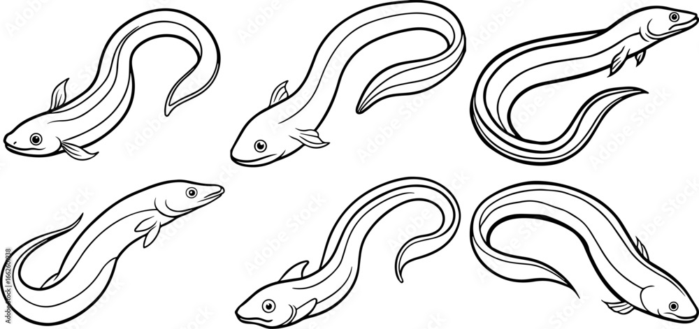 Obraz premium Set of eel fish outline vector illustration line art