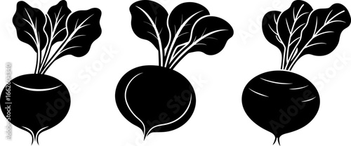 Beetroot set, Set of beetroots, beetroot collection, Vector of beetroot, beetroot silhouette, beetroot isolated on white background