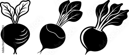 Beetroot set, Set of beetroots, beetroot collection, Vector of beetroot, beetroot silhouette, beetroot isolated on white background
