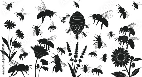 Bee and beehive silhouettes, pollination flowers, insect species, nature art, vector illustration, wildlife icon, garden design, honey production, floral fauna, eco symbol