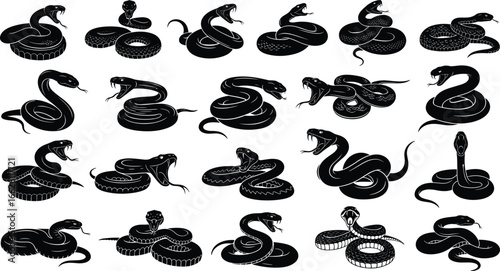 Coiled snake silhouettes, aggressive striking pose, venomous serpent, reptile predator, wildlife art, vector illustration, nature design, animal icon, jungle habitat, danger symbol