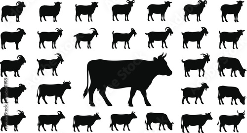 Goat sheep cow silhouettes, farm animal collection, livestock icon, rural farming, vector illustration, nature art, barnyard fauna, agriculture design, pasture scene, herd graphic