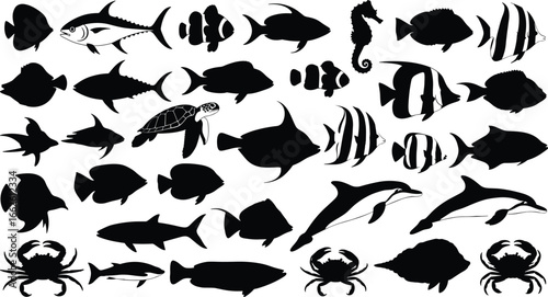 Marine animal silhouettes, fish dolphin sea turtle crab seahorse, ocean wildlife, vector illustration, nature art, aquatic icon, underwater fauna, sea life design