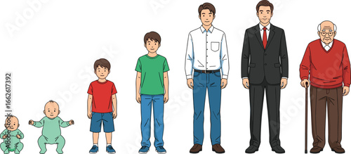 Illustration of seven male life stages from infancy to old age, ideal for education, biology, aging, and social development design