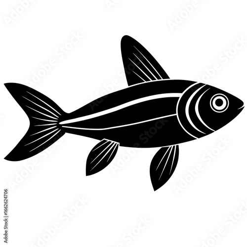 Neon tetra vector Silhouette on white background 