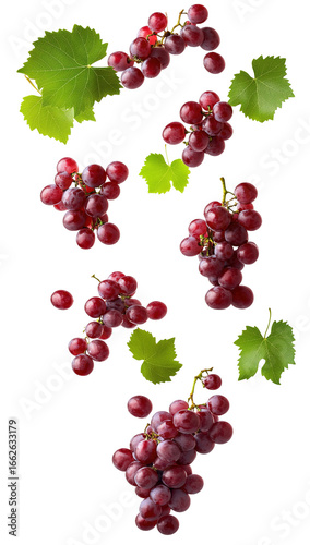 red grapes with leaf - isolated on black