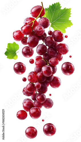 red grapes with leaf - isolated on black