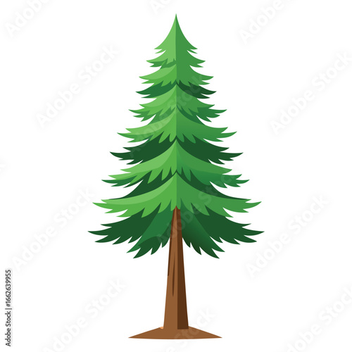 A loyal evergreen tree with a devoted appeal, isolated on a clean background.