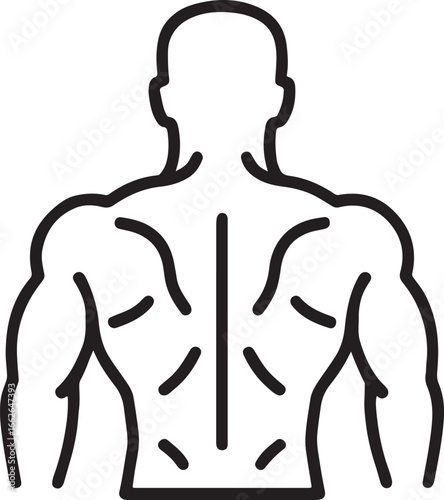 Line Drawing of Muscular Human Torso Back View Vector Illustration