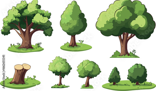 A mature leafy green deciduous tree with a strong trunk isolated on a clean white background