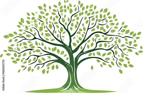 Stylized green tree with detailed branches and lush foliage on white background