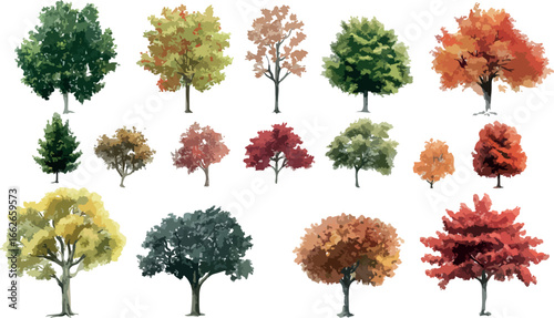 Collection of diverse deciduous trees showcasing vibrant autumn foliage in a studio setting
