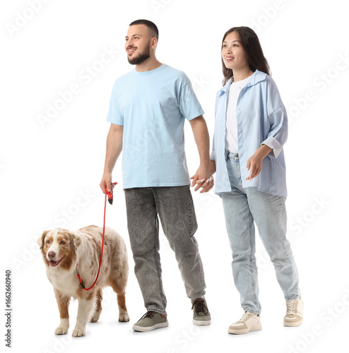 Young couple with Australian Shepherd dog walking on white background