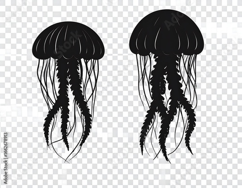 Two black silhouettes of jellyfish