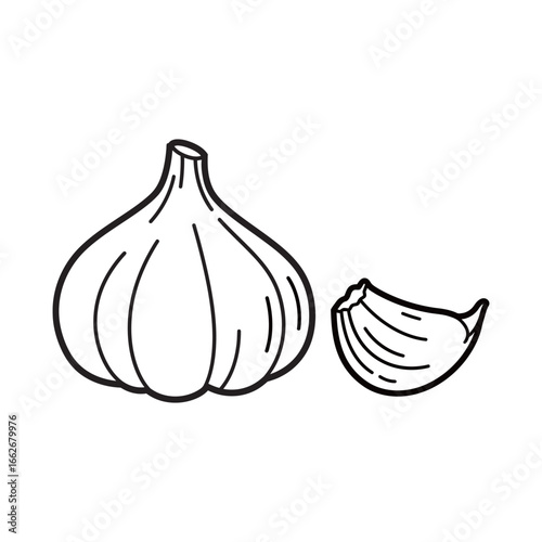 vector black and white silhouette of garlic on a white background