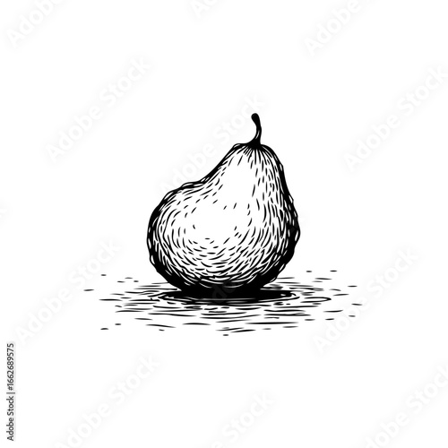 Elegant botanical illustration depicting a pear resting elegantly with subtle shading and texture