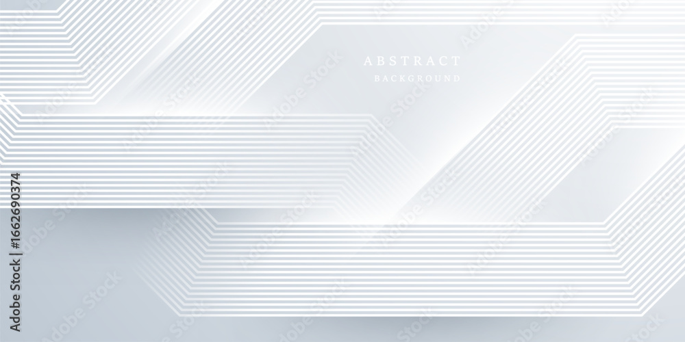 Fototapeta premium gray and white abstract background modern vector illustration