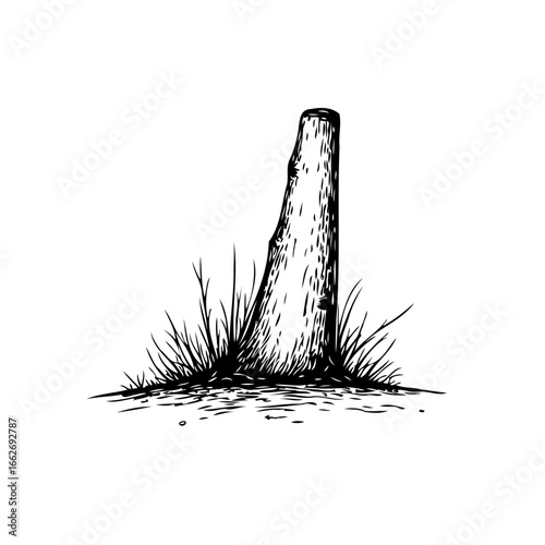 Monochrome depiction of a tree stump in a meadow displaying simplicity and natural decay showing