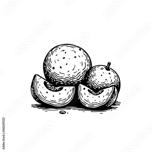 Monochrome sketched depiction of longan fruits showcasing its texture and unique shape creating a
