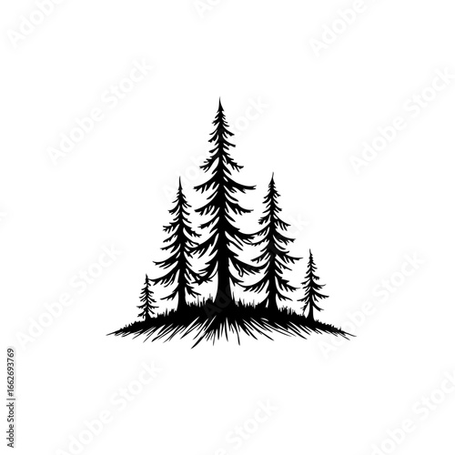 Silhouette of evergreen trees on a small hill evoking peacefulness with stylized nature