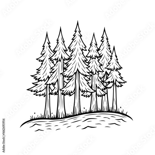 Sketchy coniferous forest illustration with hillside composition evoking serene wilderness and