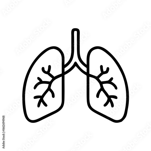Lungs anatomical illustration in line art style concept of health  