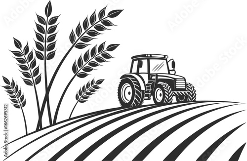 Vector of Tractor plowing a field with wheat stalks in a stylized illustration.