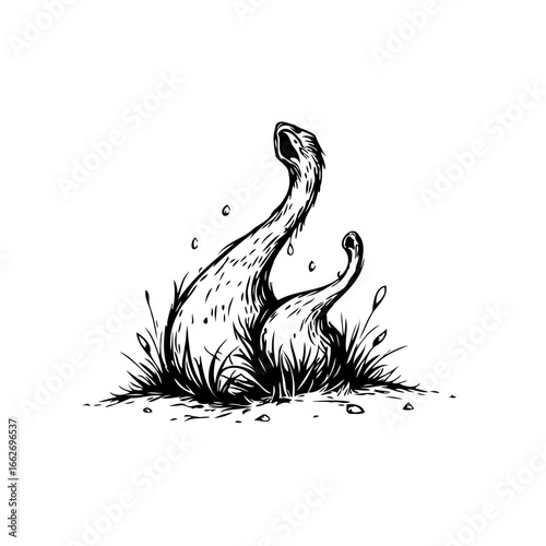 Whimsical monochrome illustration portrays two fantastical long necked creatures emerging from