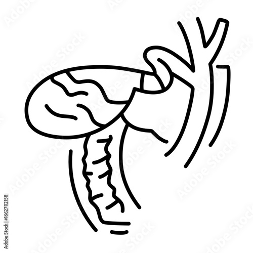 Liver diseases icon vector
