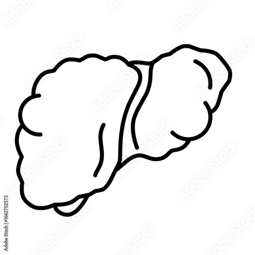 Liver diseases icon vector