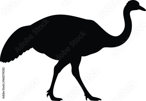 A bold ostrich silhouette walking gracefully fills this white background with an edgy design
