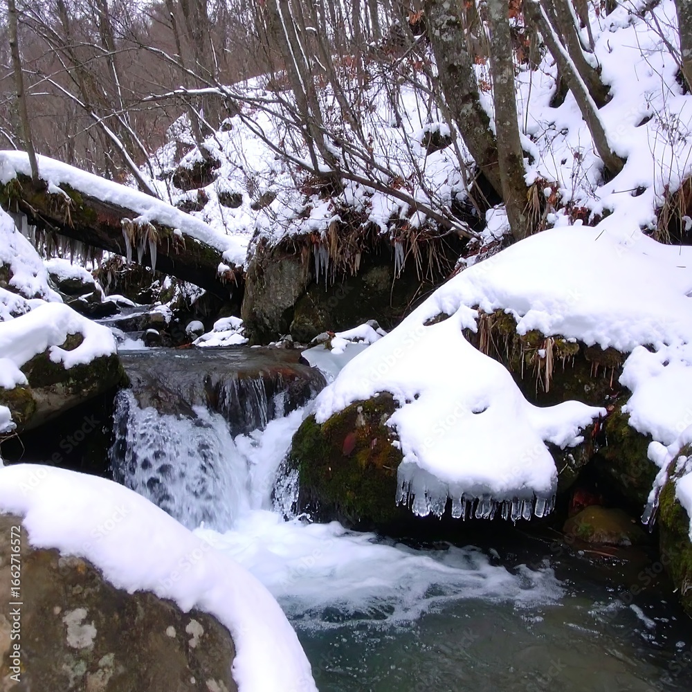 Fototapeta premium Snowy stream cascading over rocks in a winter forest