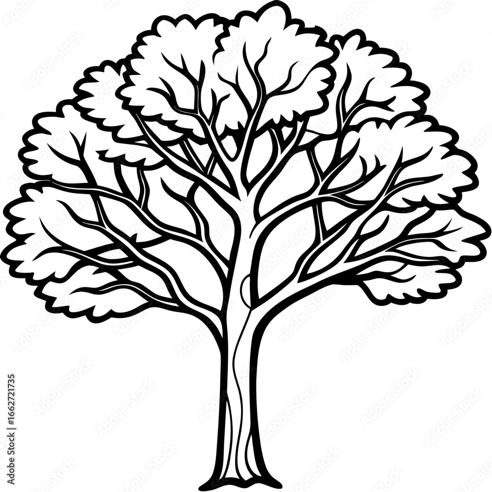 Obraz premium Portia Tree line art vector
