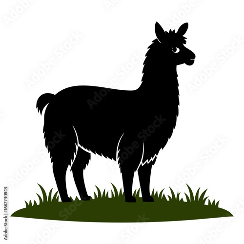 A llama silhouette vector illustration